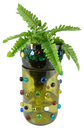 Kit Arte en Botellas Conservador de Plantas.webp