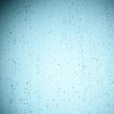 [WI300] WI 300