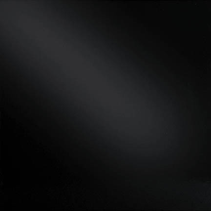 SP 1009